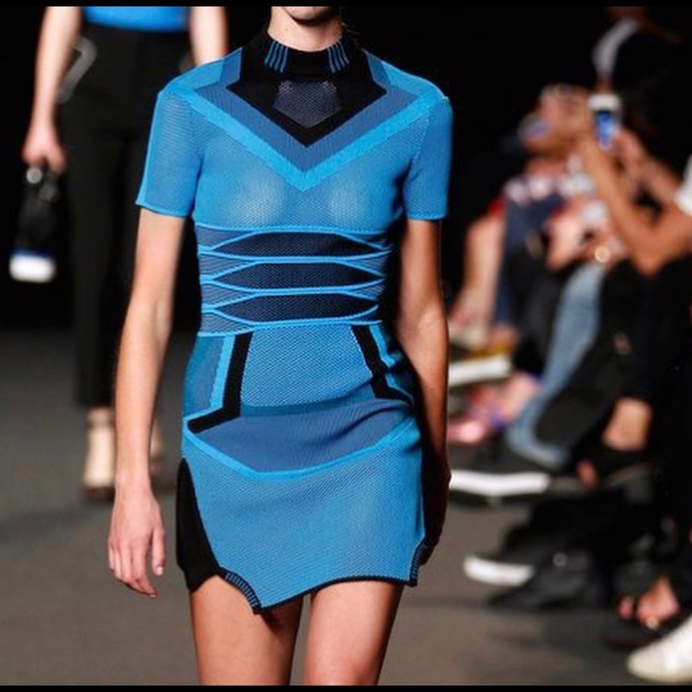 Alexander Wang Dress